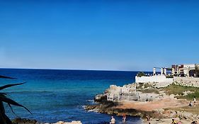 Domus Divina & Domus Elegans Fronte Mare
